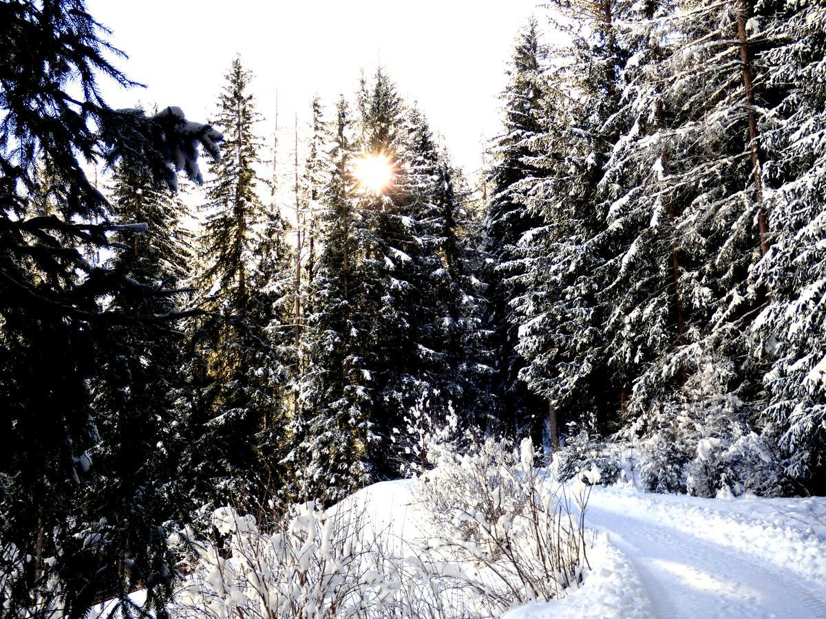 Die Natur Residenz Innervillgraten Extérieur photo